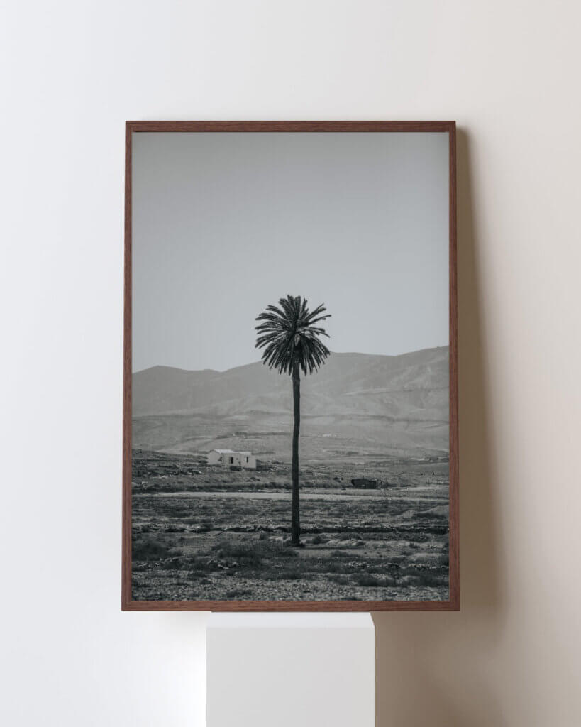 prints of fuerteventura echoes of the desert1